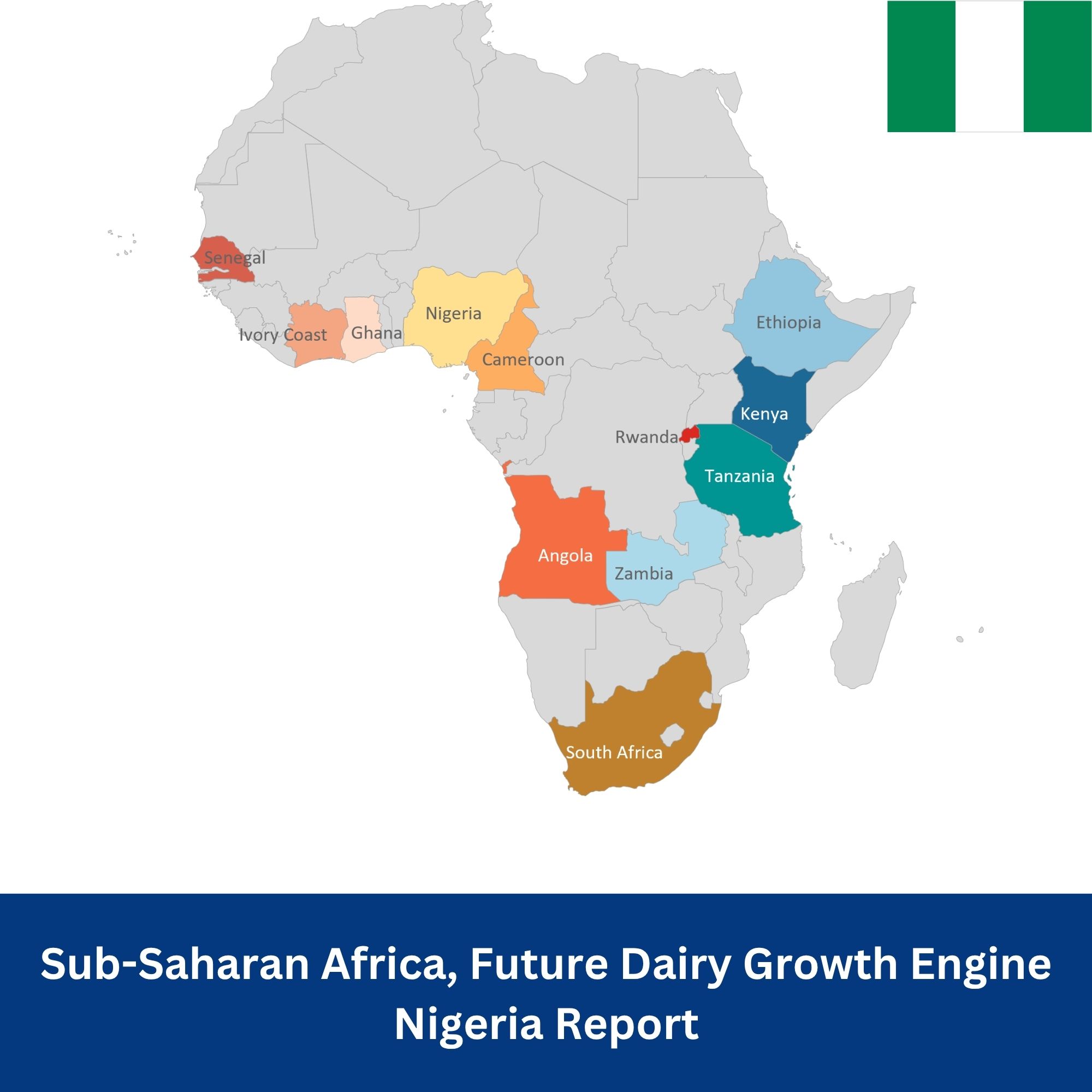 Sub-Saharan Africa Nigeria Report, Future Dairy Growth Engine